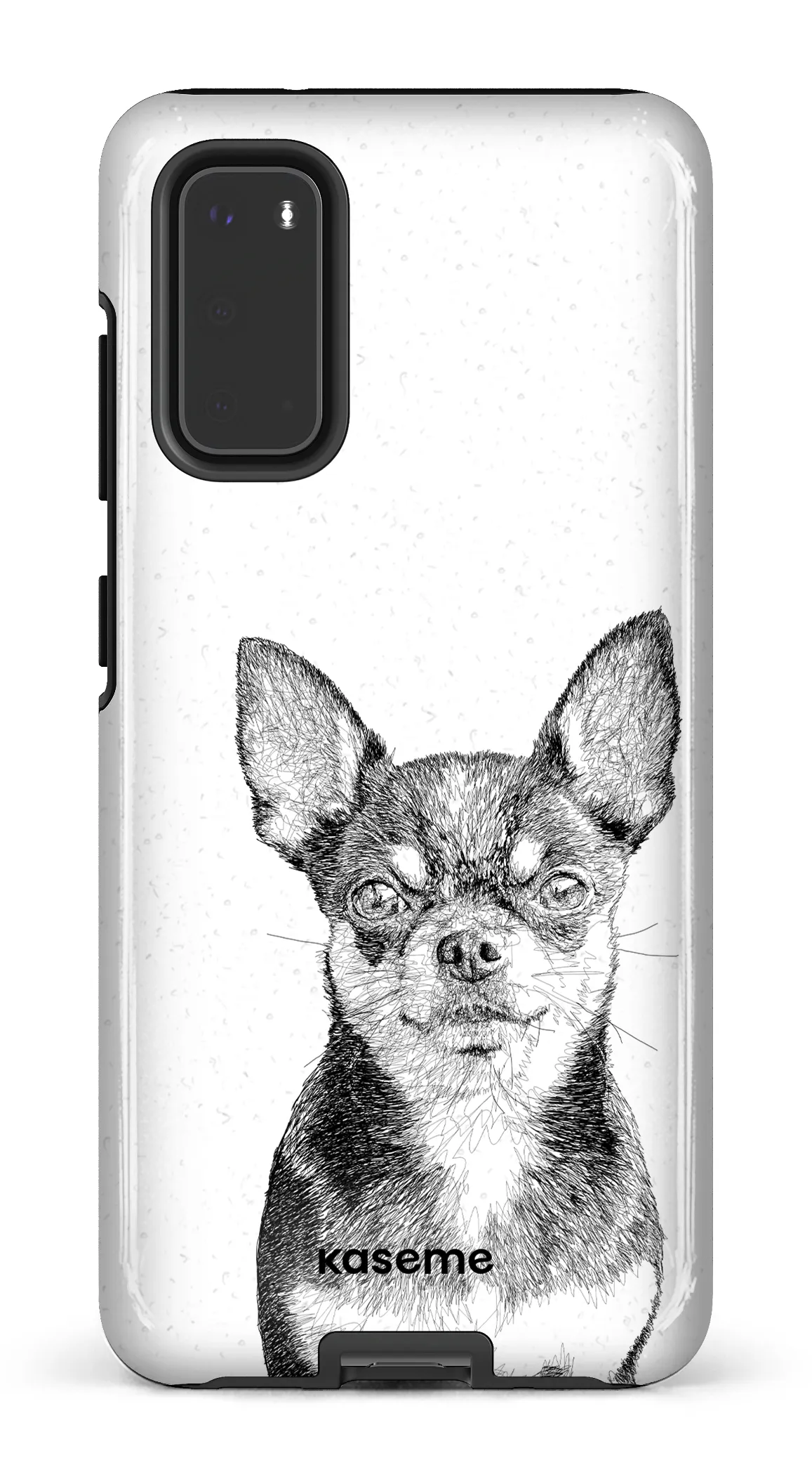 Chiuahua